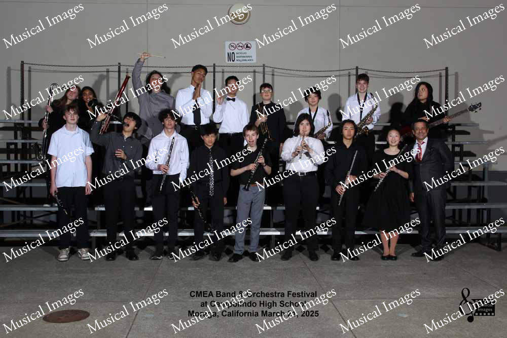 Musical Images